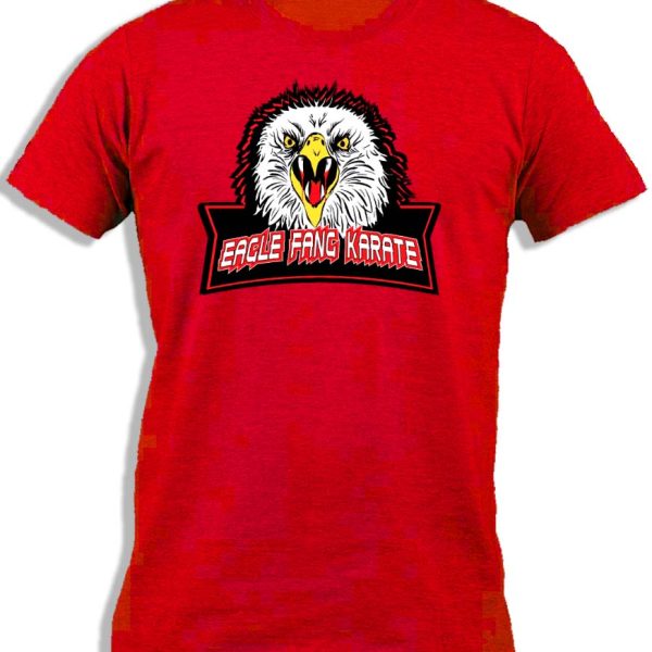 EAGLE FANG KARATE FOR KIDS