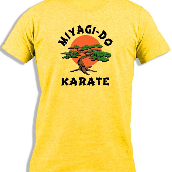 MIYAGI-DO KARATE FOR KIDS
