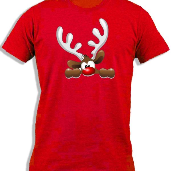 REINDEER PICKING FOR KIDS