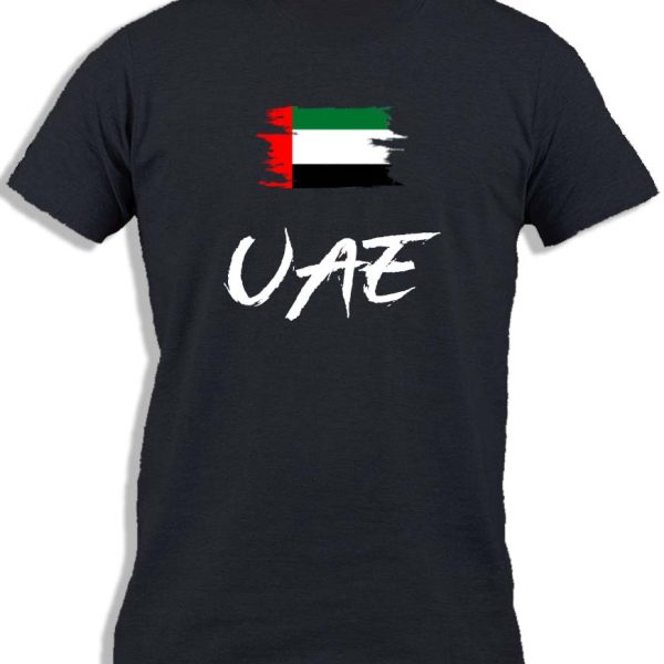UAE PAINTED FLAG FOR KIDS