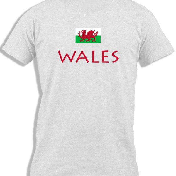 WALES WITH FLAG FOR KIDS